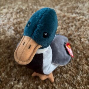 TY Beanie Baby Jake the Mallard Duck